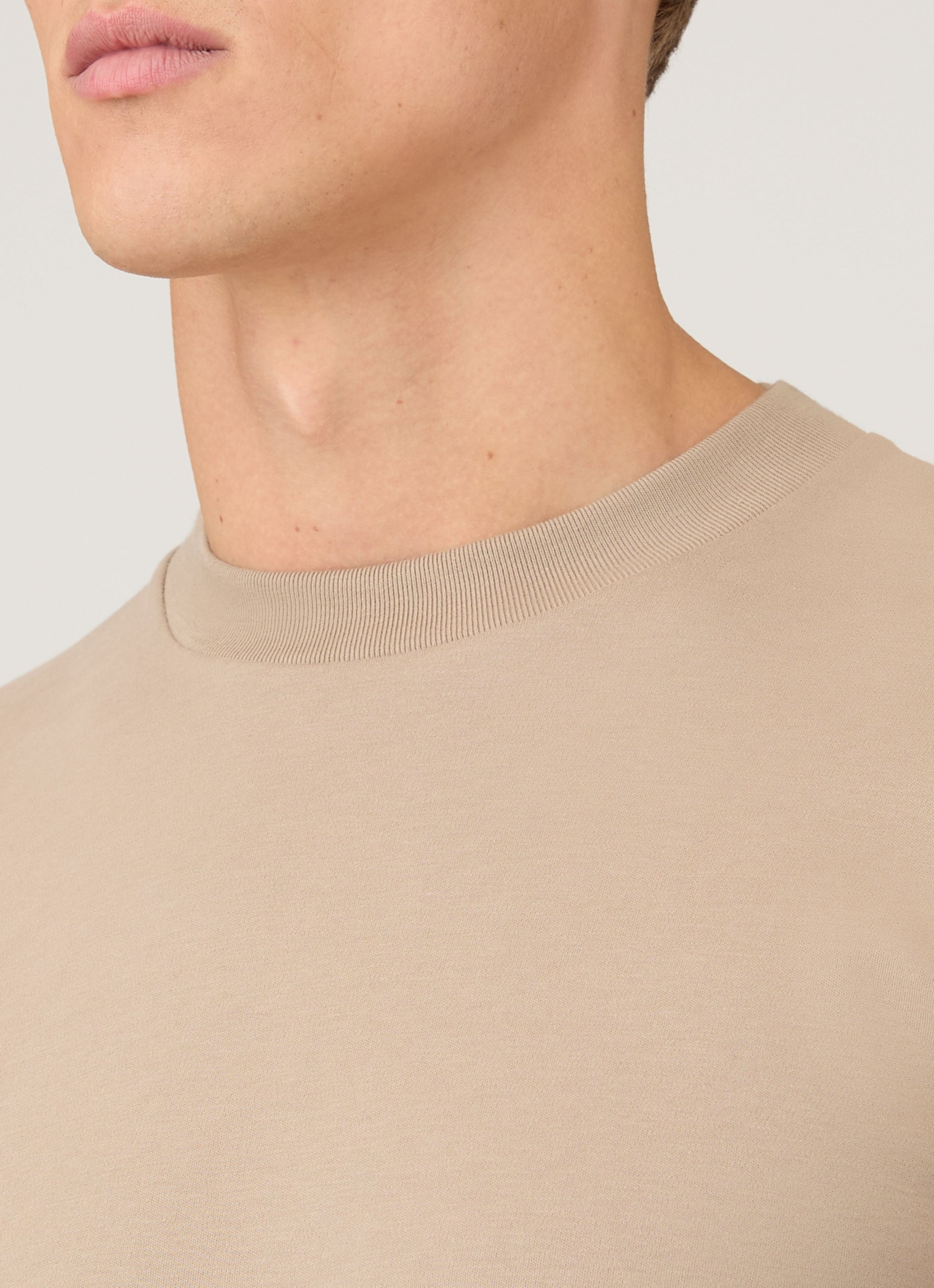 Men's Long Sleeve Heavyweight T-shirt in Mink