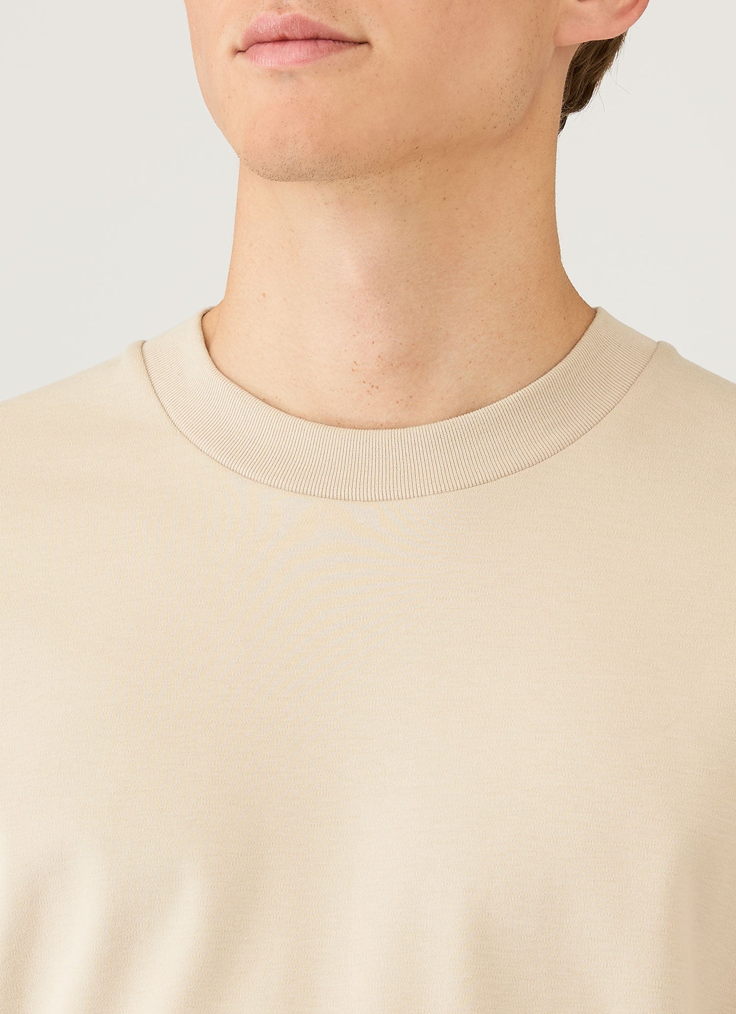 Men's Long Sleeve Heavyweight T-shirt in Hazelwood