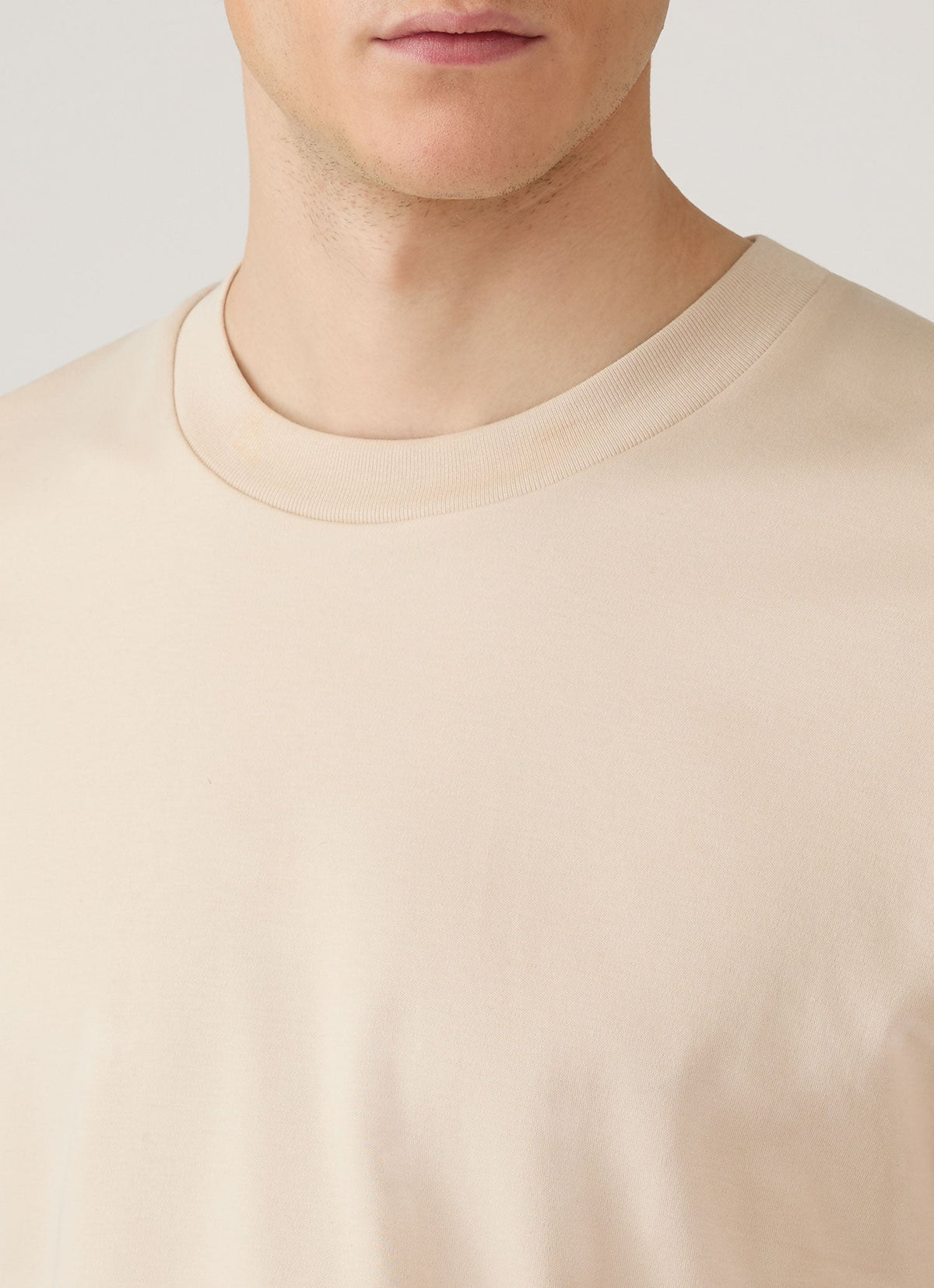 Men's Long Sleeve Heavyweight T-shirt in Swansdown