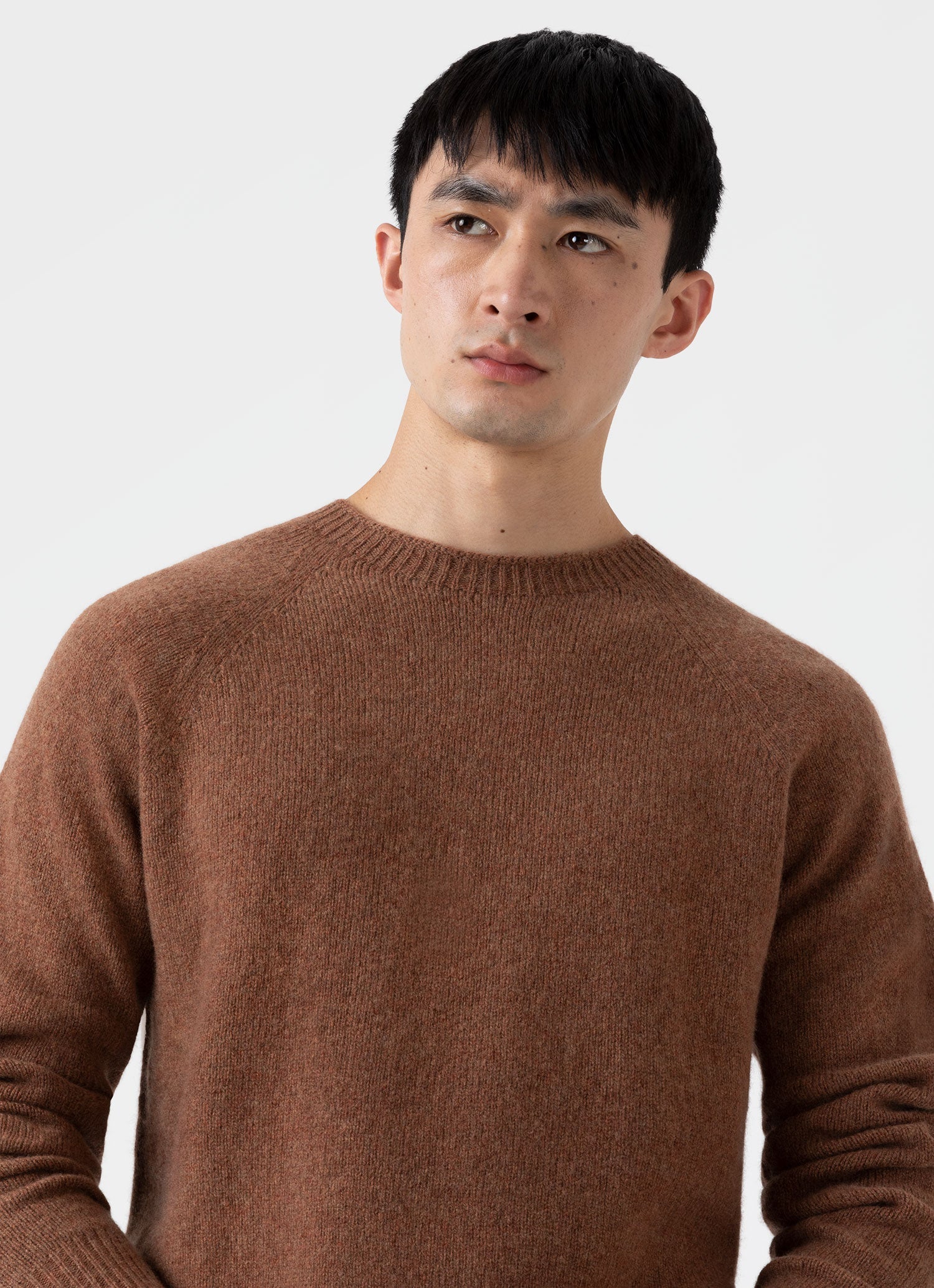 Men's Lambswool Crew Neck Jumper in Pecan